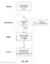 Fig. 05 - Targeted advertisements selected on the basis of an online user profile and presented with media presentations related to that profile