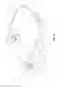 Fig. 07 - HEADPHONES WITH ADAPTABLE FIT