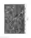 Fig. 03 - Three-dimensional air-adsorbing structure