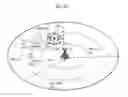 Fig. 15 - Macrocell base station and terminal