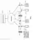 Fig. 03 - Interference management and network performance optimization in small cells