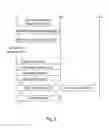 Fig. 04 - WI-FI SIGNALING NETWORK INSIGHT DELIVERY