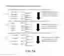 Fig. 55 - Multi-nodal wireless communication systems and methods