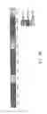 Fig. 19 - MOBILE TELEPHONE, APPARATUS, METHOD AND COMPUTER IMPLEMENTABLE INSTRUCTIONS PRODUCT