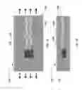 Fig. 02 - Strain isolation structures for stretchable electronics