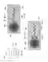 Fig. 10 - Strain isolation structures for stretchable electronics