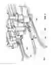 Fig. 03 - Decoring mechanism with mechanized harvester
