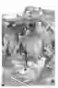 Fig. 01 - Active polymer material for agricultural use