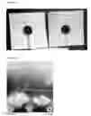 Fig. 04 - Active polymer material for agricultural use