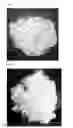 Fig. 07 - Active polymer material for agricultural use
