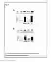 Fig. 06 - MODEL OF ALZHEIMER'S DISEASE