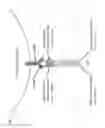 Fig. 02 - Chimeric Antigen Receptors