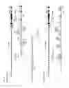 Fig. 09 - Chimeric Antigen Receptors