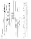 Fig. 10 - Chimeric Antigen Receptors