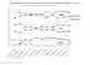 Fig. 04 - Solutions for Red Blood Cells