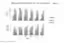 Fig. 11 - Solutions for Red Blood Cells