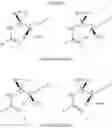 Fig. 10 - Fungicidal amides