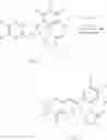 Fig. 23 - Tetrazolinone compound and use of same