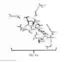 Fig. 05 - Antimicrobial compounds and their use in treating plant disease