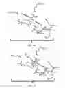 Fig. 06 - Antimicrobial compounds and their use in treating plant disease
