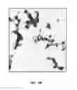 Fig. 04 - ANTIMICROBIAL COMPOSITIONS AND METHODS