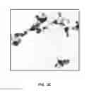 Fig. 05 - ANTIMICROBIAL COMPOSITIONS AND METHODS