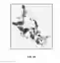 Fig. 03 - Compositions and methods for treating plant diseases
