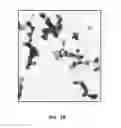 Fig. 04 - Compositions and methods for treating plant diseases