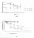 Fig. 04 - Trichoderma microsclerotia and methods of making