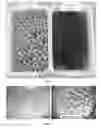 Fig. 15 - Compositions and methods to selectively control invasive species