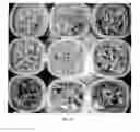 Fig. 27 - Compositions and methods to selectively control invasive species