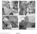 Fig. 31 - Compositions and methods to selectively control invasive species