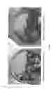 Fig. 08 - Whole grain composition comprising hydrolyzed starch