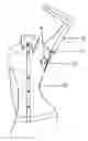 Fig. 01 - ADJUSTABLE UPPER BODY GARMENT