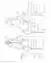Fig. 04 - ADJUSTABLE UPPER BODY GARMENT