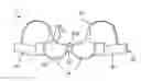Fig. 01 - BRASSIERES