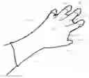 Fig. 01 - GARDEN GLOVE