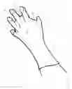 Fig. 02 - GARDEN GLOVE