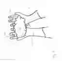 Fig. 06 - GARDEN GLOVE