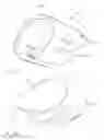 Fig. 11 - GARDEN GLOVE