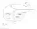 Fig. 12 - GARDEN GLOVE
