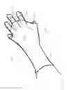 Fig. 15 - GARDEN GLOVE