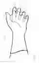 Fig. 16 - GARDEN GLOVE