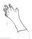 Fig. 17 - GARDEN GLOVE