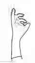Fig. 19 - GARDEN GLOVE