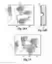 Fig. 07 - THREE DIMENSIONAL FABRICS AND ASSEMBLY METHODS THEREFOR