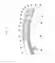 Fig. 10 - Buckle apparatus for wearable device