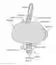 Fig. 02 - Multifunction baby carrier, portable swing and exercise device