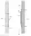 Fig. 01 - ADJUSTABLE WALL MOUNTING DEVICE AND SYSTEM