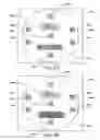 Fig. 06 - Serialization of single-use endoscopes